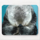 Recherche de loutres mer tapis souris Nature