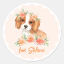 Recherche de cavalier king charles autocollants Anniversaire