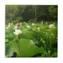 Recherche de fleur de lotus carreaux Rose
