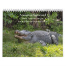 Recherche de alligator bureau fournitures Nature