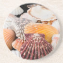 Recherche de assortiment dessous de verres Cindy miller hopkins