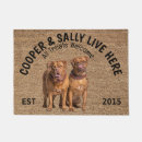 Recherche de dogue de bordeaux Animaux domestiques