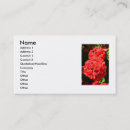 Recherche de buisson cartes visite Floral