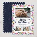 Recherche de collage de chat vœux cartes Mignon