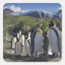 Recherche de andrew autocollants Bleu