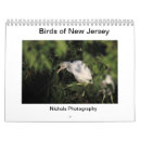 Recherche de jersey bureau fournitures Oiseaux