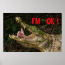 Recherche de crocs posters Alligator