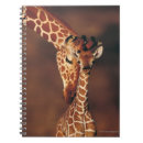 Recherche de camelopardalis de giraffa Vertical