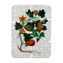 Recherche de vigne magnets Légume