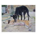 Recherche de chien gris posters Toute personne