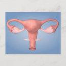 Recherche de image cartes postales Illustration