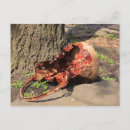 Recherche de seau cartes postales Panier