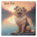 Recherche de berger allemand carreaux Animaux domestiques