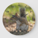 Recherche de écureuil gris horloges Animal