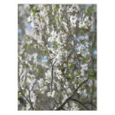 Recherche de arbre de cornouiller Fleurs