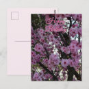 Recherche de arbre fleurissant vœux cartes Pour elle