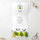 Recherche de trois citrons Moderne
