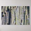 Recherche de devils tower posters Tour de démons