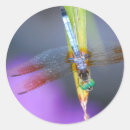 Recherche de animaux mythologiques autocollants Mythe