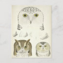 Recherche de hibou vintage cartes postales Oiseau