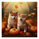 Recherche de inu shiba posters Chiot