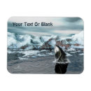 Recherche de baleines magnets Pour tous