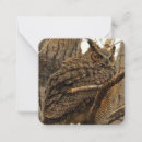Recherche de de hibou correspondances cartes Nature