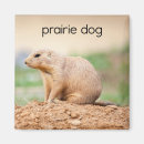 Recherche de chiens de prairie Pour enfants
