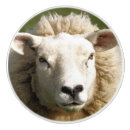 Recherche de mouton boutons et poignées de porte Animaux