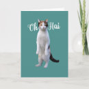 Recherche de chat toutes vœux cartes Toutes les occasions