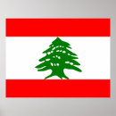 Recherche de drapeau emirats arabes unis posters Asie