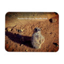 Recherche de parc du sud magnets Photographie
