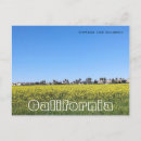 Recherche de moutarde cartes postales Jaune