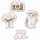 Recherche de hibou blanc autocollants Pour elle