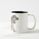 Recherche de chiot berger tasses Nature