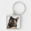 Recherche de torte porteclés Tortie