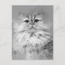 Recherche de chat persan cartes postales Adorable