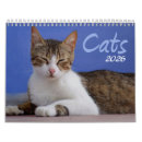 Recherche de de chat calendriers 2025