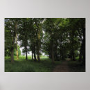 Recherche de woods art Paysage