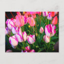 Recherche de affaires de tulipe Pour tous