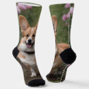 Recherche de corgi chaussettes Dog