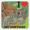 Recherche de amour tortue autocollants Coeur