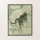 Recherche de amphibien puzzles Eau