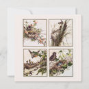 Recherche de oiseaux de neige vœux cartes Hiver