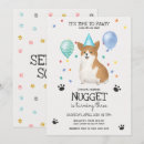Recherche de corgi invitations Laisse pawty
