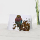 Recherche de la tanzanie vœux cartes Photographie