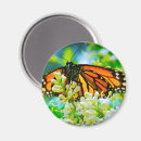 Recherche de insecte magnets Coloré
