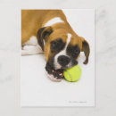 Recherche de de balle de tennis cartes postales Partie du corps animal