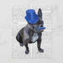 Recherche de moustache bleue cartes postales Animaux