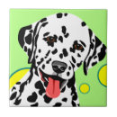 Recherche de races de chien carreaux Canine